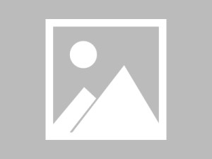 如何买到数字展会设计的便宜方式？